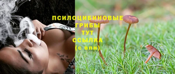 таблы Вяземский
