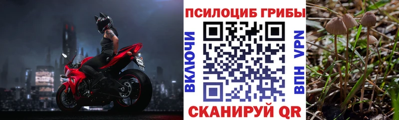 Псилоцибиновые грибы мухоморы Волоколамск